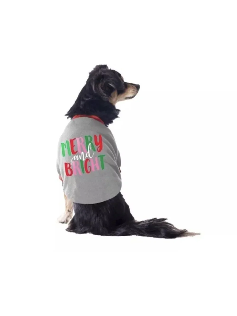 NWOT Vibrant Life Dogs Medium 20-50lb Gray Holiday Pet Tee Merry And Bright